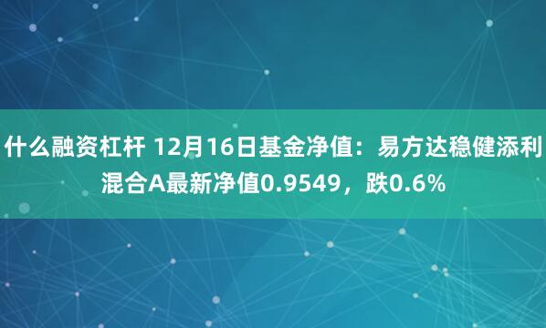 什么融资杠杆 12月16日基金净值：易方达稳健添利混合A最新净值0.9549，跌0.6%