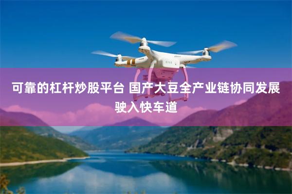 可靠的杠杆炒股平台 国产大豆全产业链协同发展驶入快车道