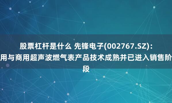 股票杠杆是什么 先锋电子(002767.SZ)：民用与商用超声波燃气表产品技术成熟并已进入销售阶段