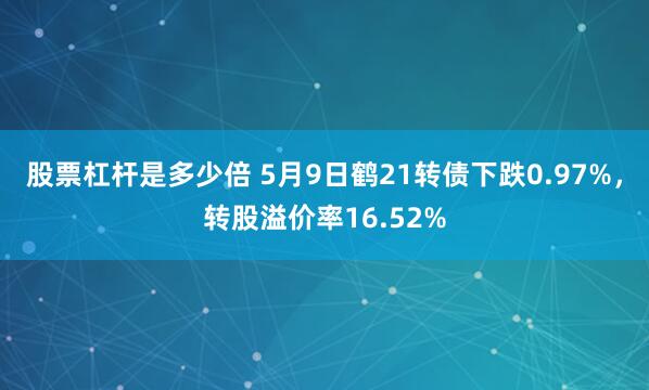 股票杠杆是多少倍 5月9日鹤21转债下跌0.97%，转股溢价率16.52%