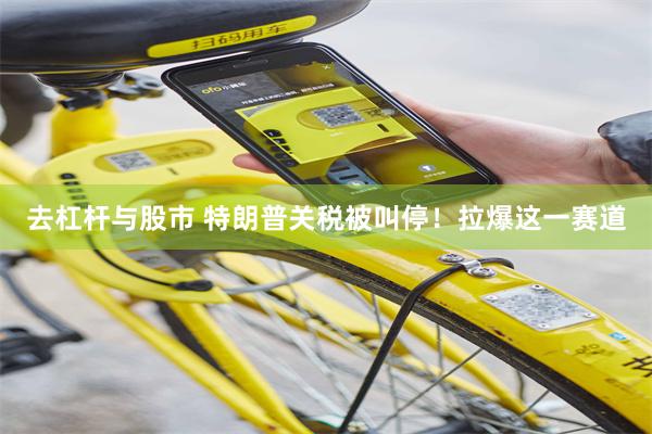 去杠杆与股市 特朗普关税被叫停！拉爆这一赛道