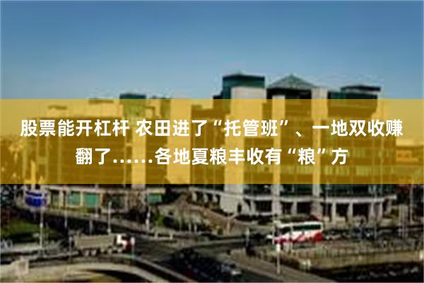 股票能开杠杆 农田进了“托管班”、一地双收赚翻了……各地夏粮丰收有“粮”方