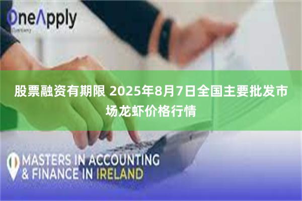 股票融资有期限 2025年8月7日全国主要批发市场龙虾价格行情