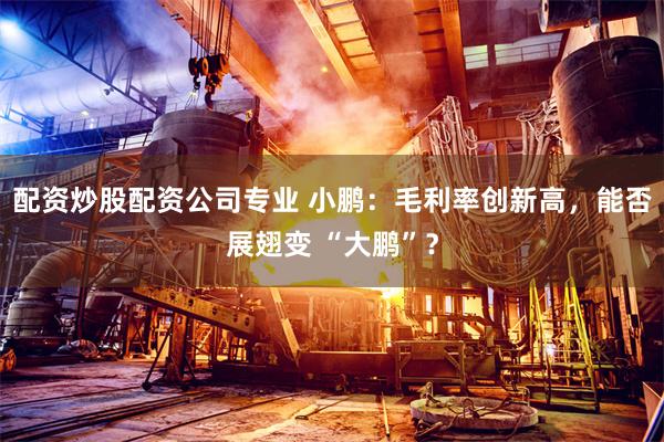 配资炒股配资公司专业 小鹏：毛利率创新高，能否展翅变 “大鹏”？