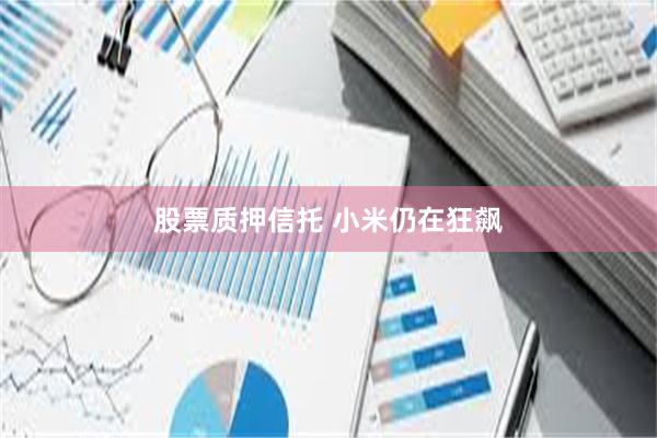 股票质押信托 小米仍在狂飙