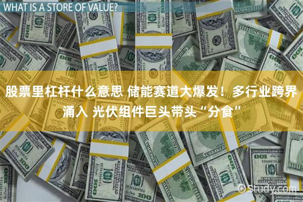 股票里杠杆什么意思 储能赛道大爆发！多行业跨界涌入 光伏组件巨头带头“分食”