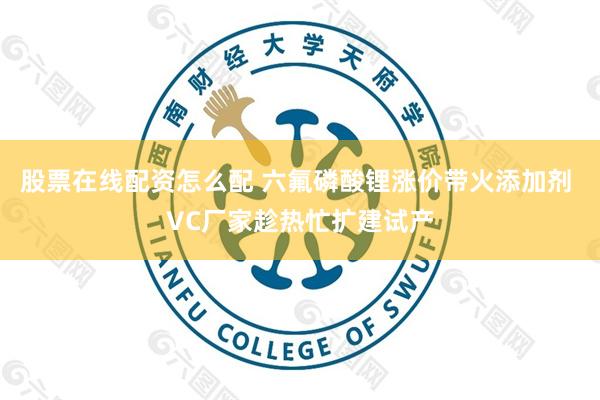 股票在线配资怎么配 六氟磷酸锂涨价带火添加剂 VC厂家趁热忙扩建试产