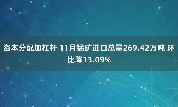 资本分配加杠杆 11月锰矿进口总量269.42万吨 环比降13.09%